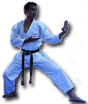 shokinho2