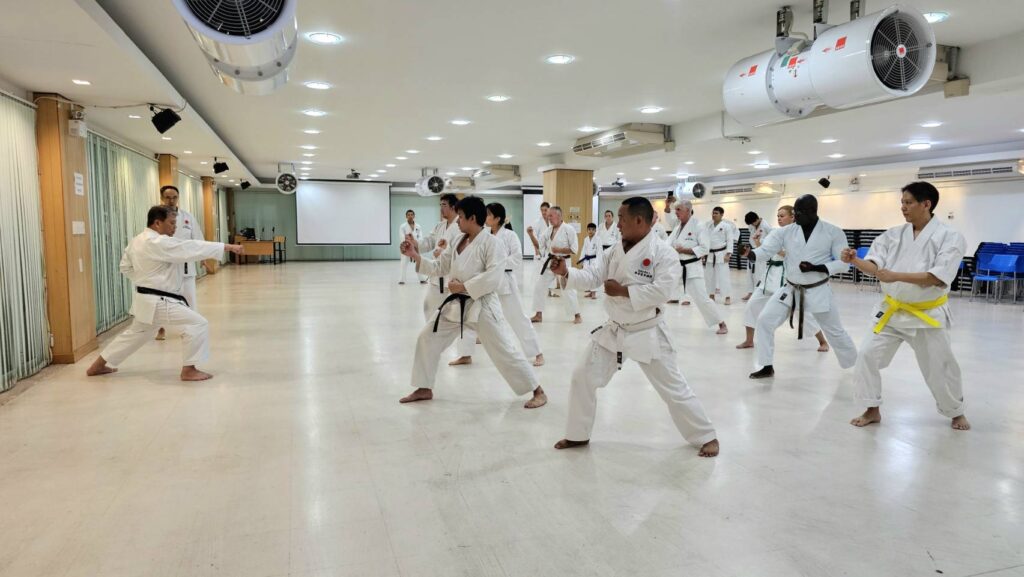 Participants practising techniques together during a training session