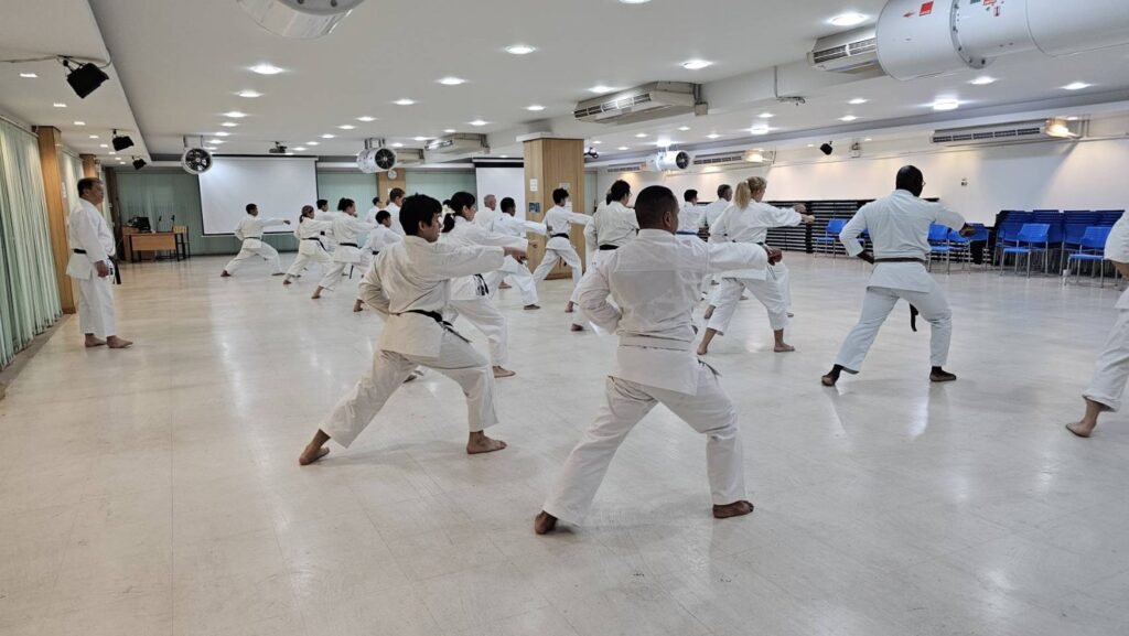 Participants practising techniques in pairs at the 2026 seminar