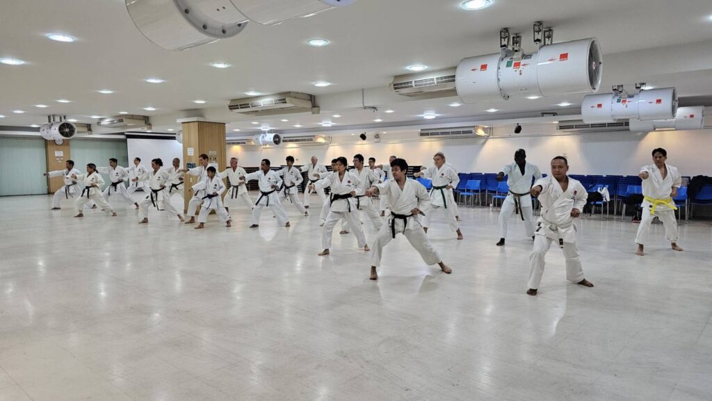 Participants practising techniques in pairs at the 2026 seminar