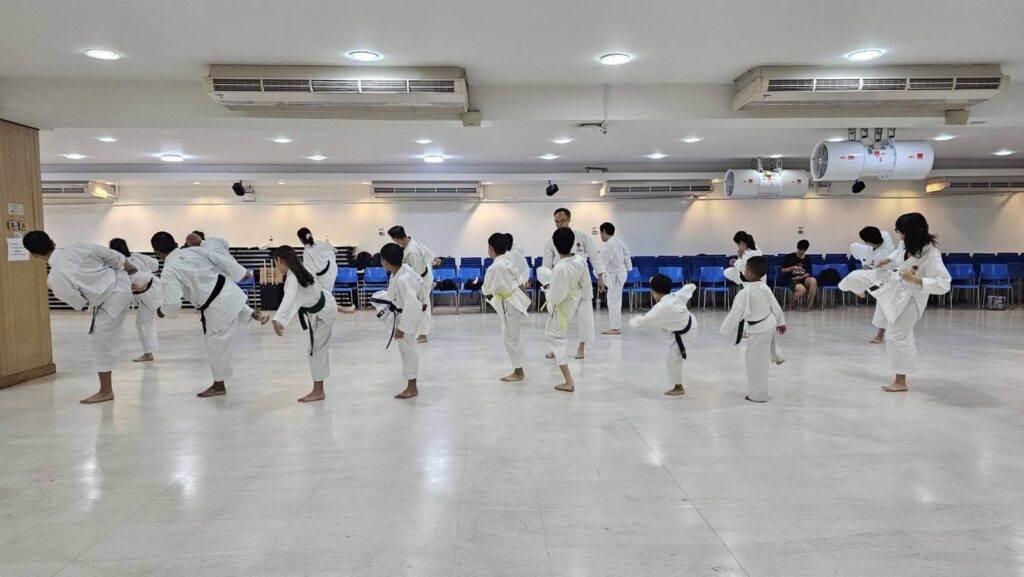 Participants practising kicks at the 2026 seminar