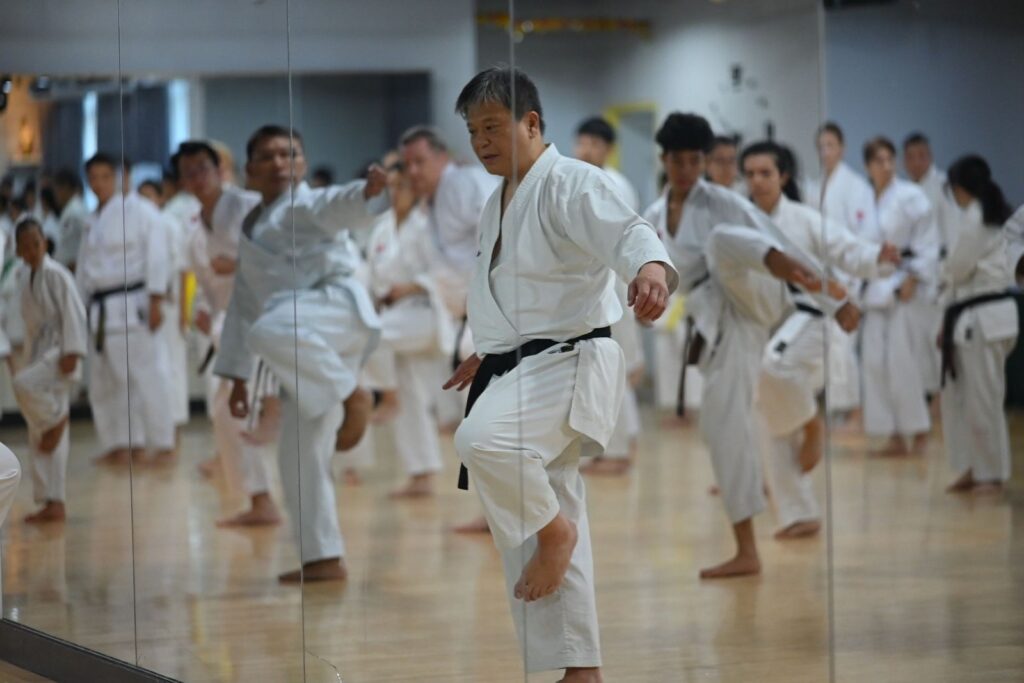 Taniyama Shihan leading training at the 2025 seminar