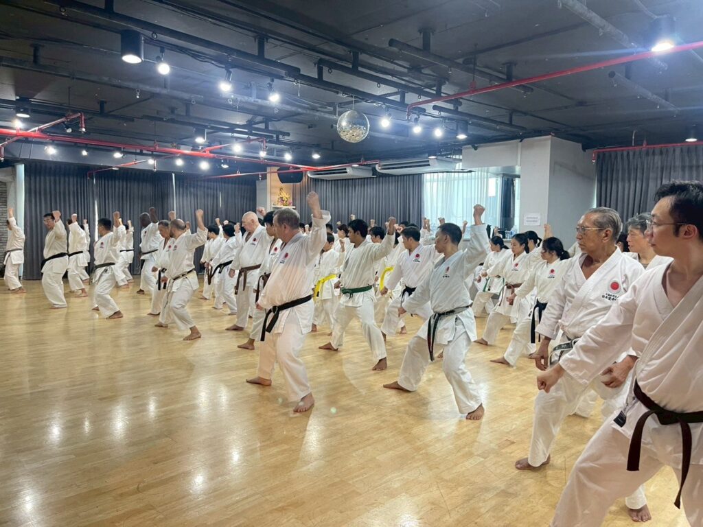 Large group practising kihon together at the 2025 seminar